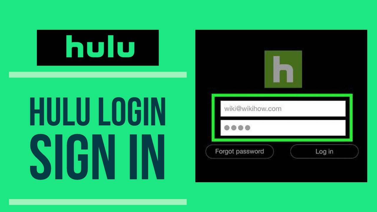 Hulu Harmony: Sharing or Not Sharing Your Login