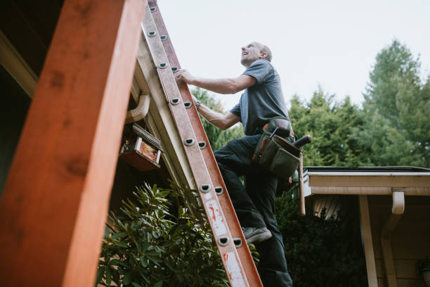 Elevate Your Home: Top Roofing Services in Olympia