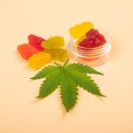 Mindful Munching Discovering the Synergy of CBD and THC Gummies