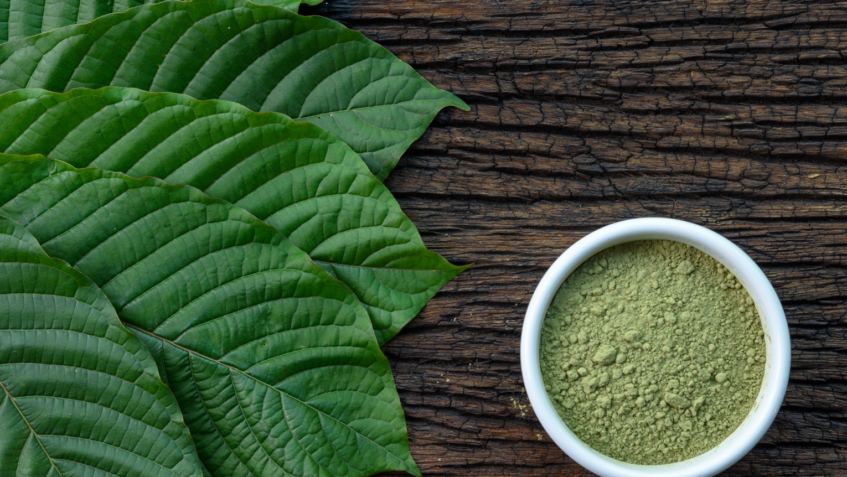 Green Sumatra Kratom The Ultimate Guide to Its Unique Properties